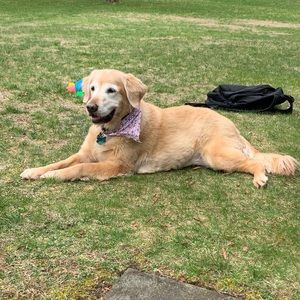 Meet your Posher, Thomas